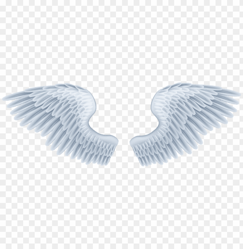Detail Angel Wings Png Clipart Nomer 44