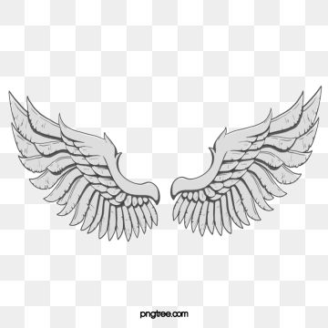 Detail Angel Wings Png Clipart Nomer 50