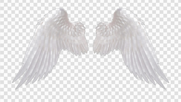 Detail Angel Wings Png Transparent Nomer 15