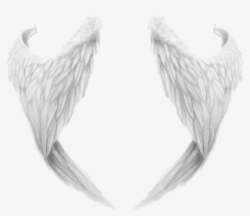 Detail Angel Wings Png Transparent Nomer 21