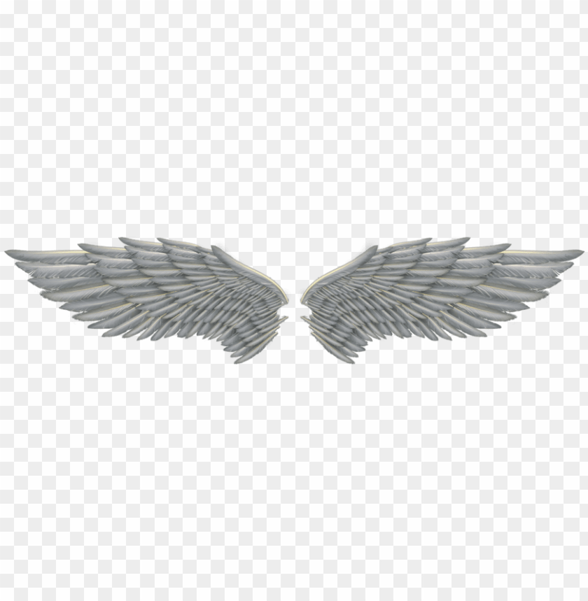 Detail Angel Wings Png Transparent Nomer 30