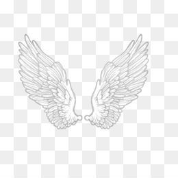 Detail Angel Wings Png Transparent Nomer 41
