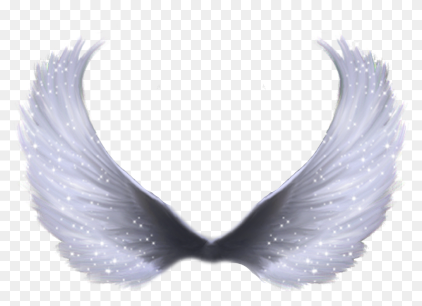 Detail Angel Wings Png Transparent Nomer 47