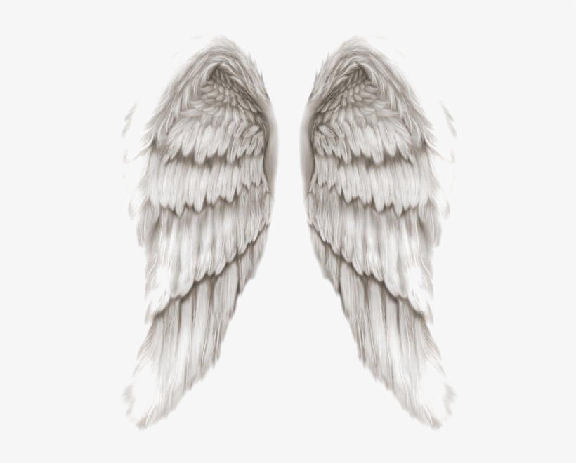 Detail Angel Wings Png Transparent Nomer 51