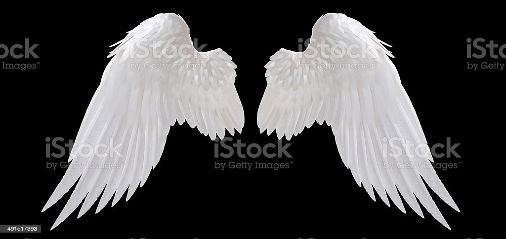 Detail Angel Wings Stock Photo Nomer 11