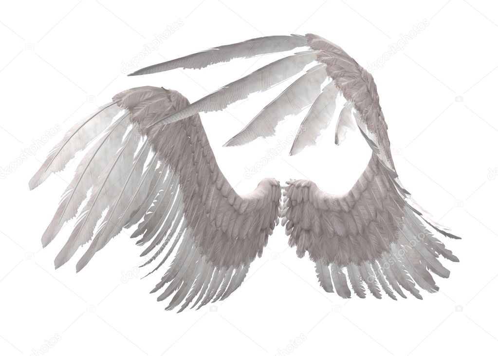Detail Angel Wings Stock Photo Nomer 19