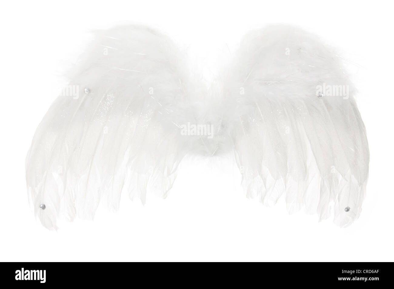 Detail Angel Wings Stock Photo Nomer 30