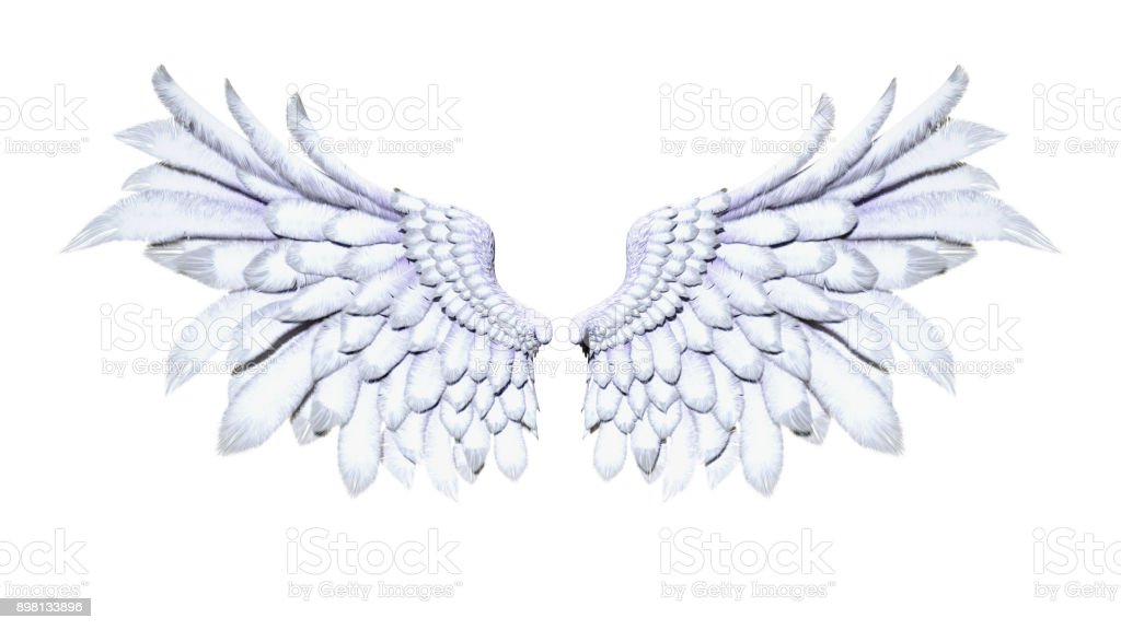 Detail Angel Wings Stock Photo Nomer 42