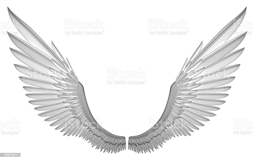 Detail Angel Wings Stock Photo Nomer 45