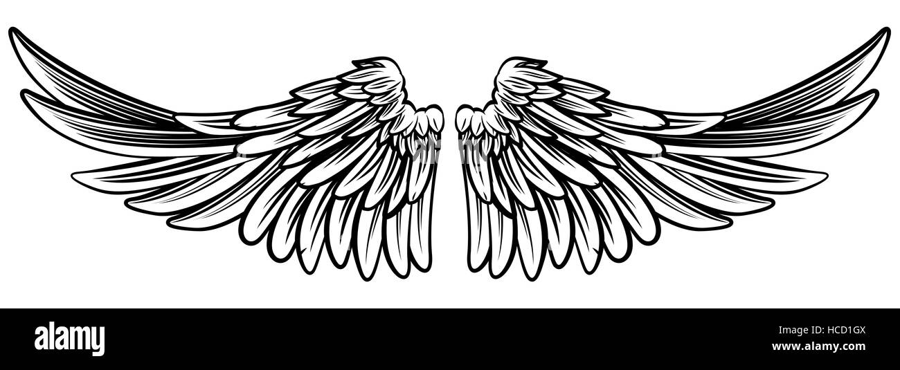 Detail Angel Wings Stock Photo Nomer 51