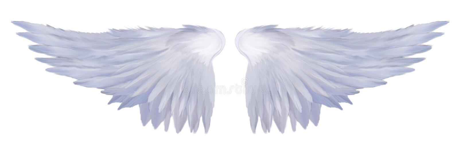 Detail Angel Wings Stock Photo Nomer 56