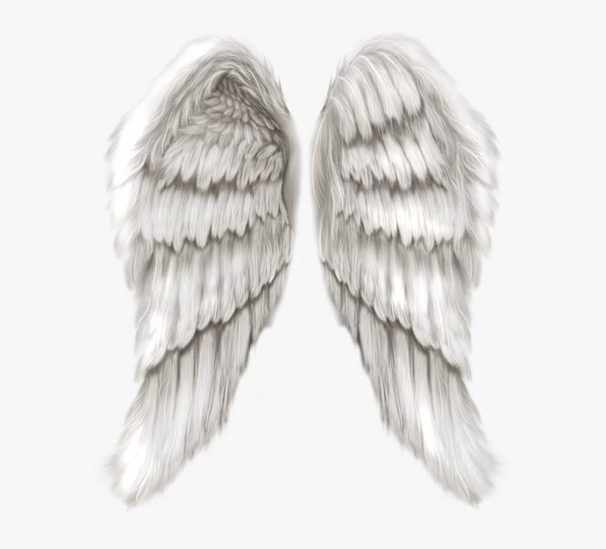 Detail Angel Wings Transparent Background Nomer 11