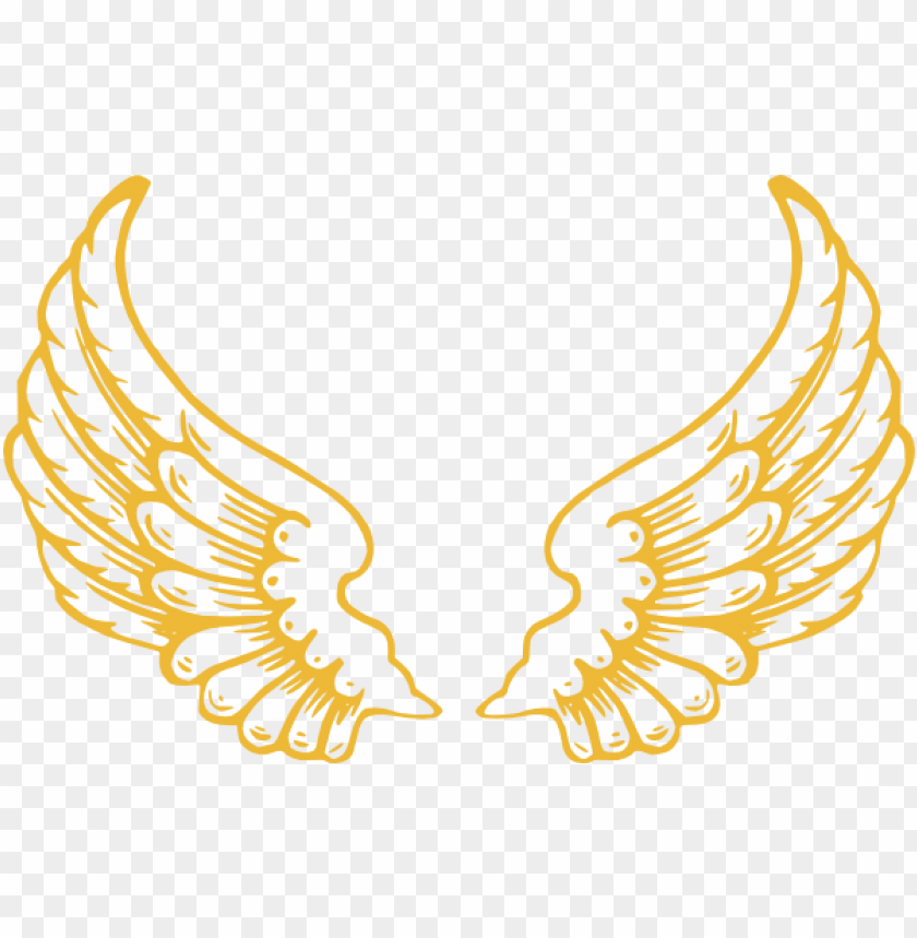 Detail Angel Wings Transparent Background Nomer 50