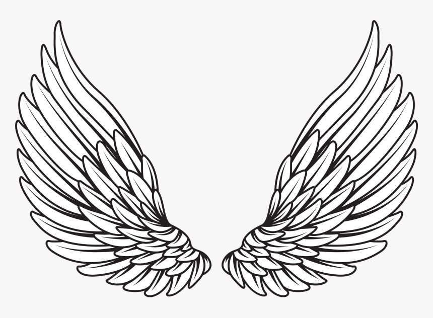 Angel Wings Vector Png - KibrisPDR