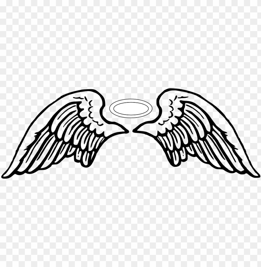 Detail Angel Wings Vector Png Nomer 2