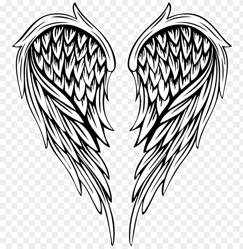 Detail Angel Wings Vector Png Nomer 11