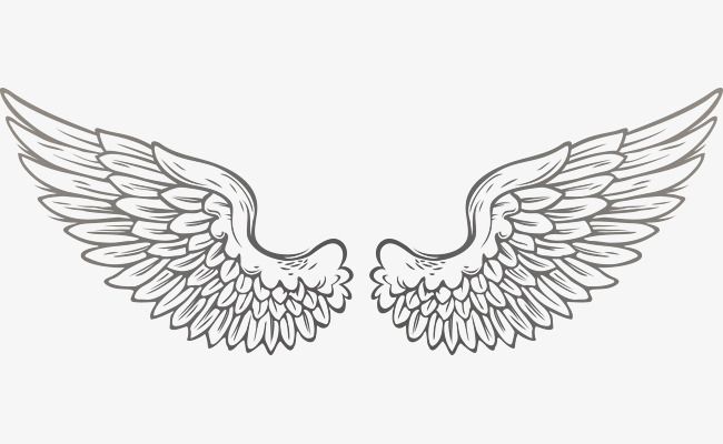 Detail Angel Wings Vector Png Nomer 13