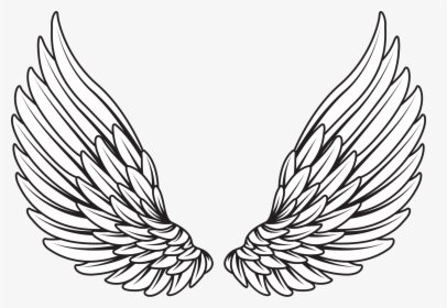 Detail Angel Wings Vector Png Nomer 17