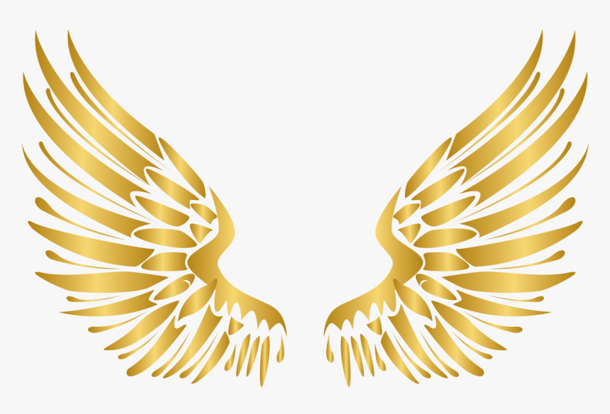 Detail Angel Wings Vector Png Nomer 21