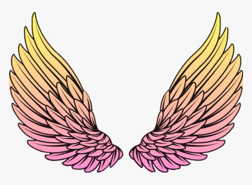 Detail Angel Wings Vector Png Nomer 25