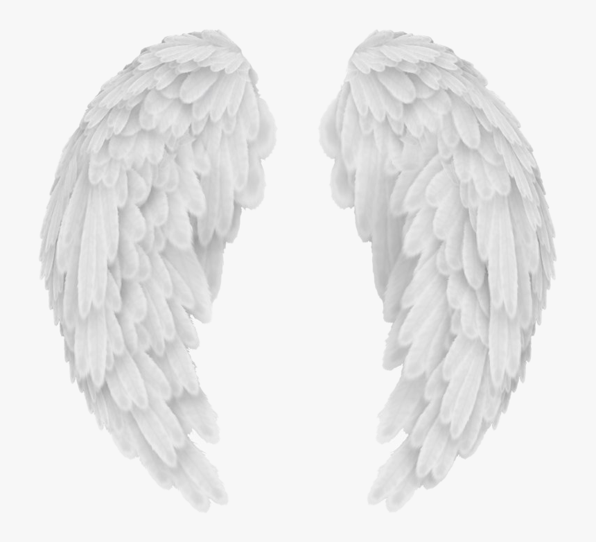 Detail Angel Wings Vector Png Nomer 26