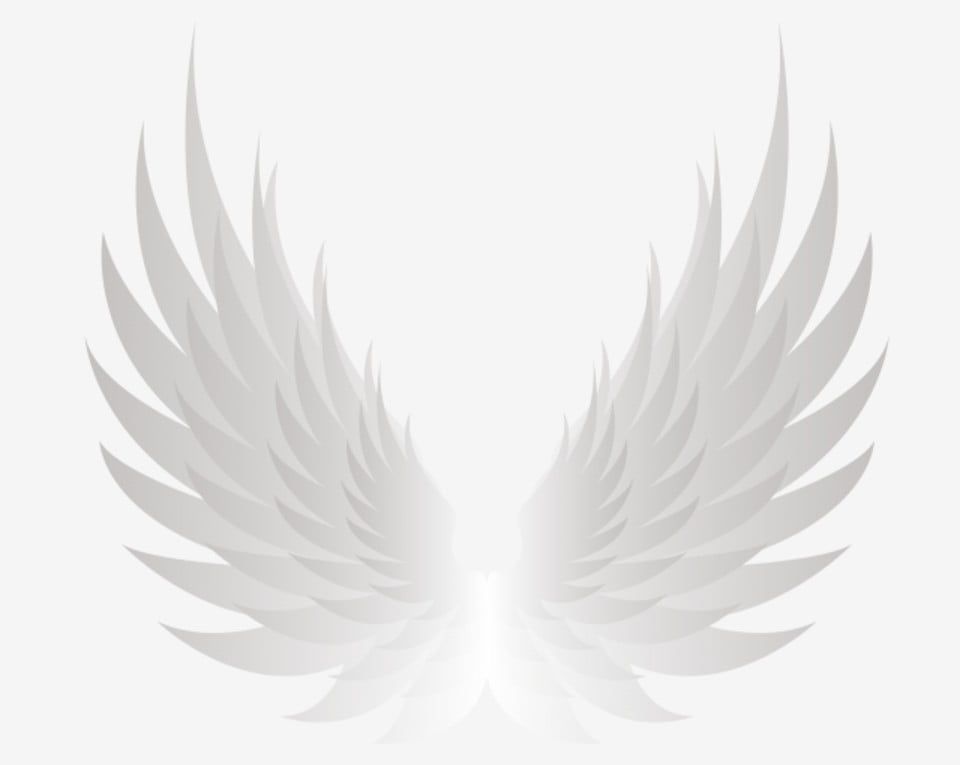 Detail Angel Wings Vector Png Nomer 30