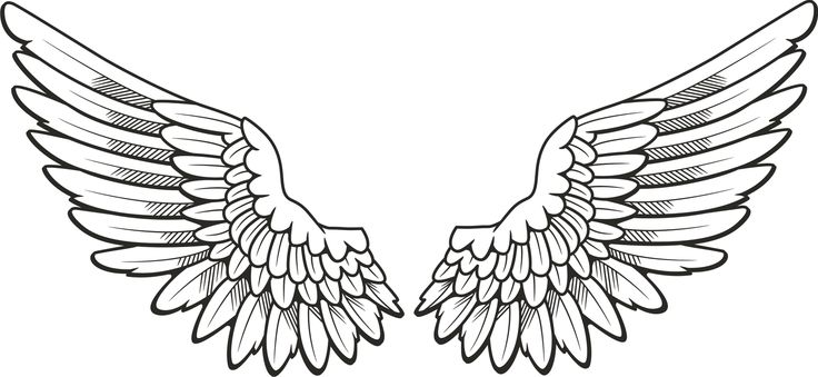 Detail Angel Wings Vector Png Nomer 32