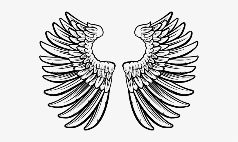 Detail Angel Wings Vector Png Nomer 34