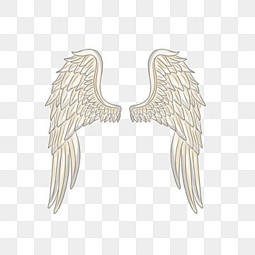 Detail Angel Wings Vector Png Nomer 45