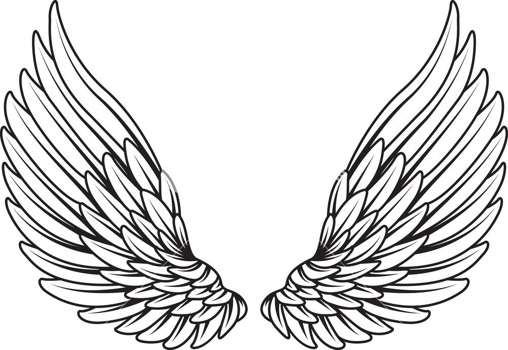 Detail Angel Wings Vector Png Nomer 47