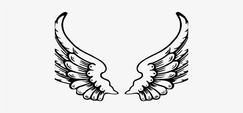 Detail Angel Wings Vector Png Nomer 56