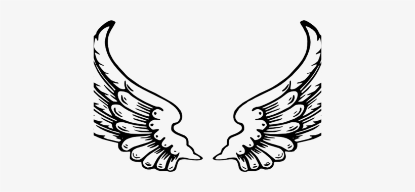 Detail Angel Wings Vector Png Nomer 56