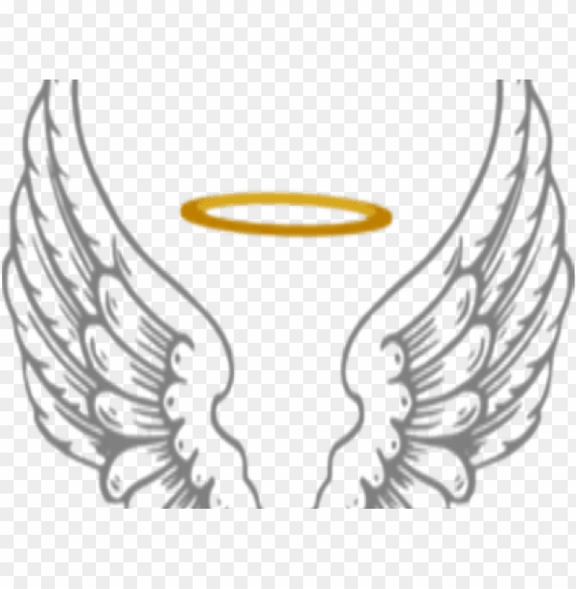 Detail Angel Wings Vector Png Nomer 10