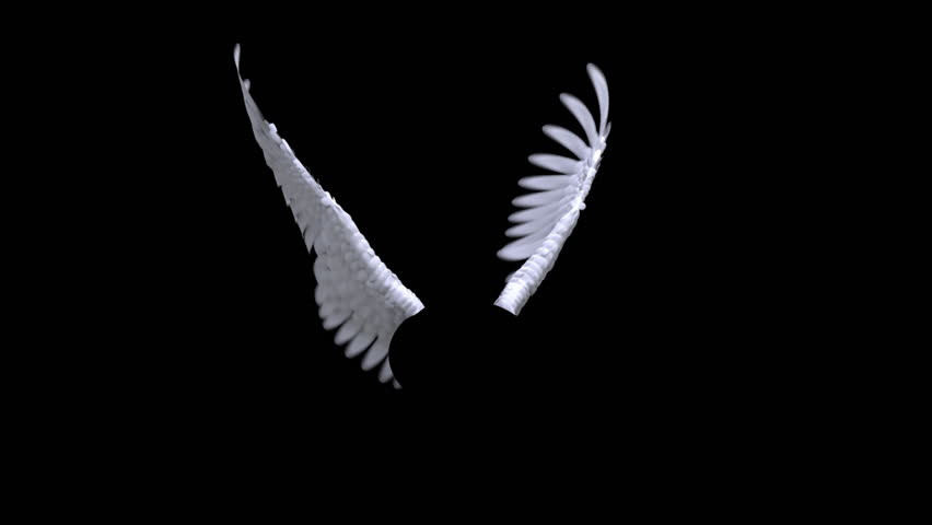 Detail Angel With Moving Wings Nomer 31