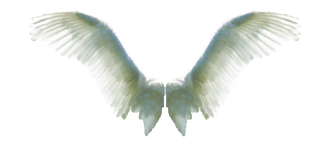 Detail Angel With Moving Wings Nomer 37