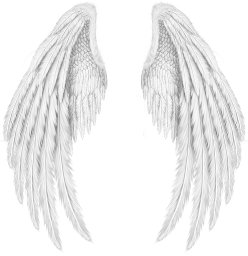Detail Angel With Moving Wings Nomer 38