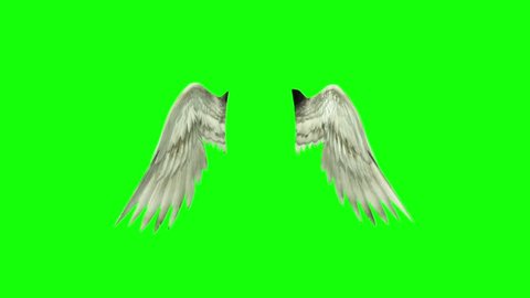 Detail Angel With Moving Wings Nomer 39