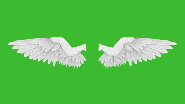 Detail Angel With Moving Wings Nomer 46