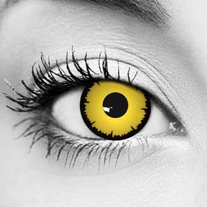 Detail Angelic Contacts Nomer 13