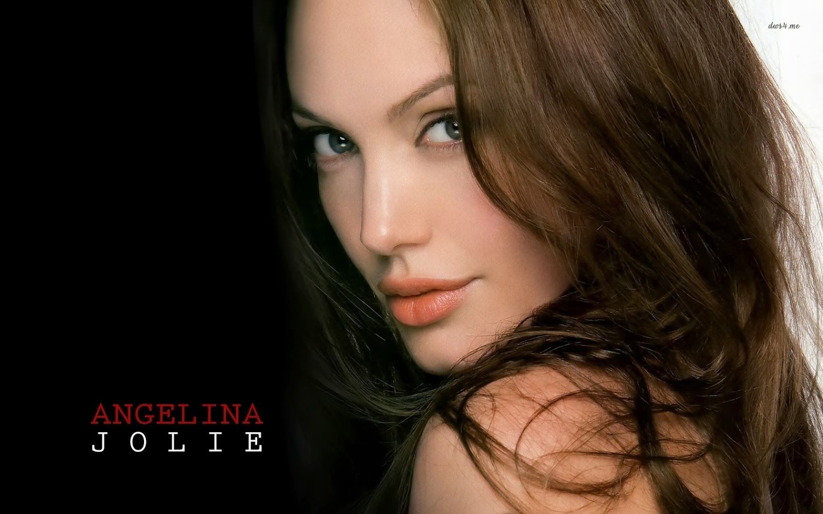 Detail Angelina Jolie Wallpaper Nomer 21