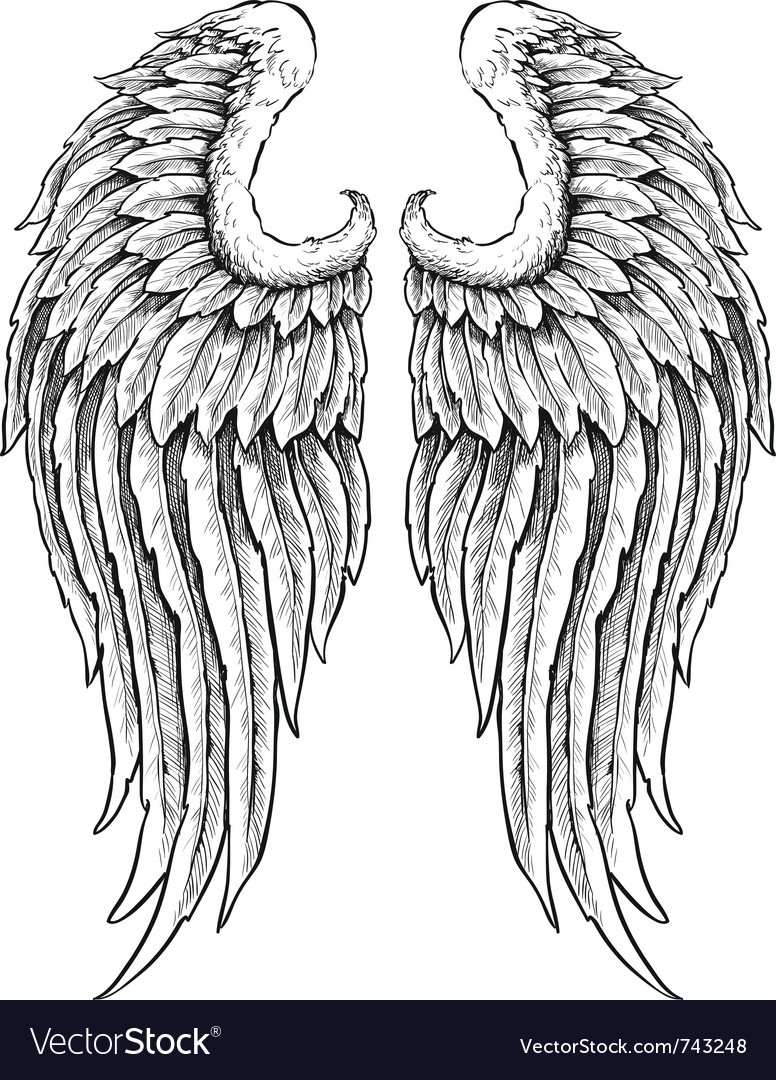 Detail Angels Wings Images Nomer 17