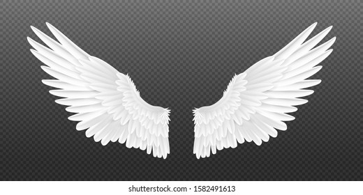 Detail Angels Wings Images Nomer 28