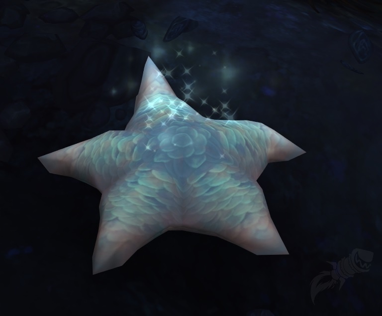 Angelscale Starfish - KibrisPDR