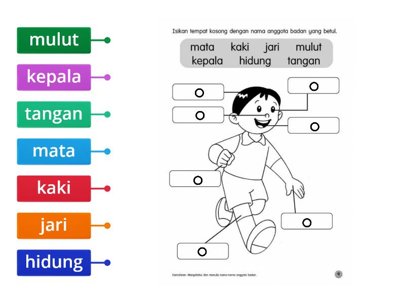 Detail Anggota Tubuh Clipart Nomer 13