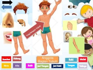 Detail Anggota Tubuh Clipart Nomer 19