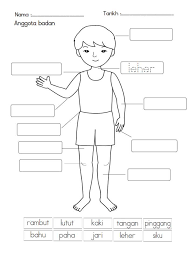 Detail Anggota Tubuh Clipart Nomer 29