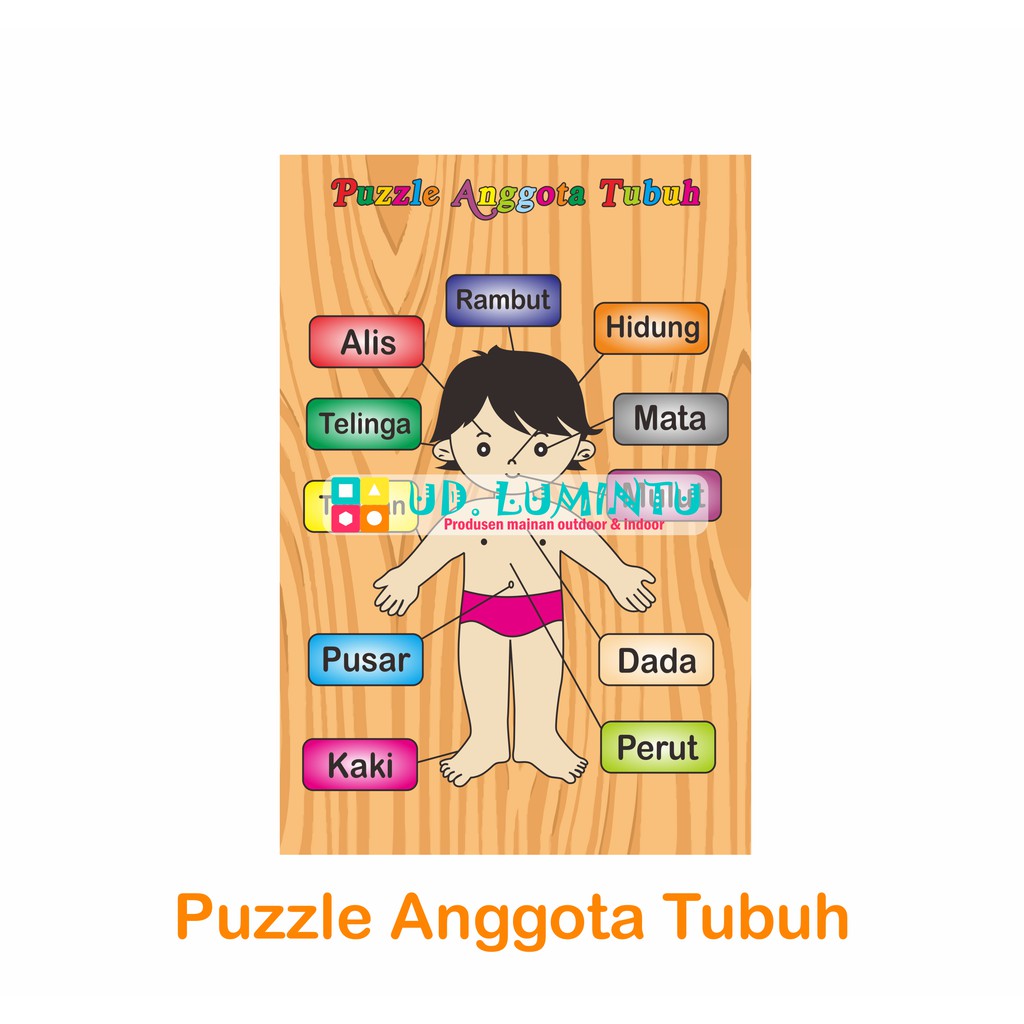 Detail Anggota Tubuh Clipart Nomer 37