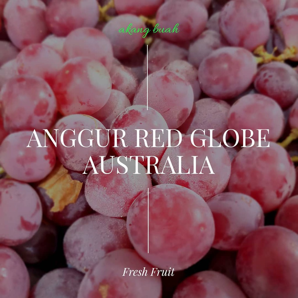 Detail Anggur Red Globe Australia Nomer 45