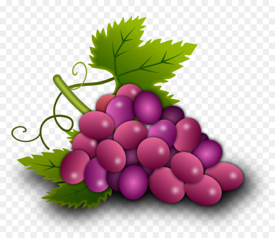 Detail Anggur Vector Png Nomer 11