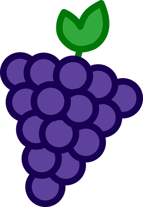 Detail Anggur Vector Png Nomer 15